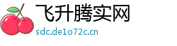 飞升腾实网